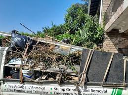 Demolition Debris Removal in Tatum, TX